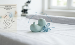 Naučna vizuelizacija razvoja fetusa pod uticajem ftalata, prikazana kroz apstraktnu skulpturu, medicinske dijagrame i laboratorijsku opremu u svetlom, profesionalnom okruženju.